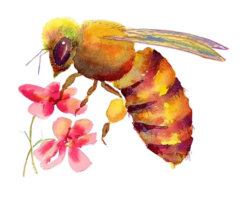 boise bees logo