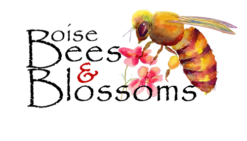 Boise Bees & Blossoms